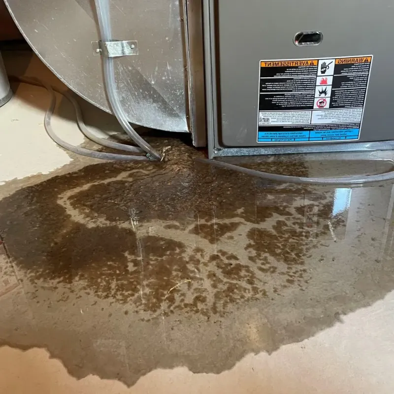 Pipe Burst and Leak Restoration in Hooksett, NH